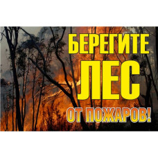 Знак металл "Берегите лес от огня!" (800x1200) EKF PROxima